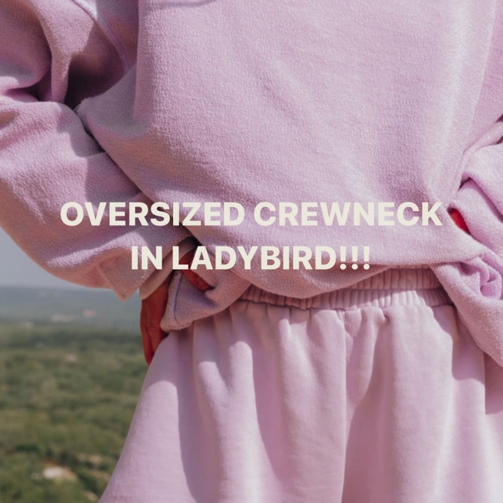 Daily Drills Ladybird (Lavender) Oversized Crewneck XS/S